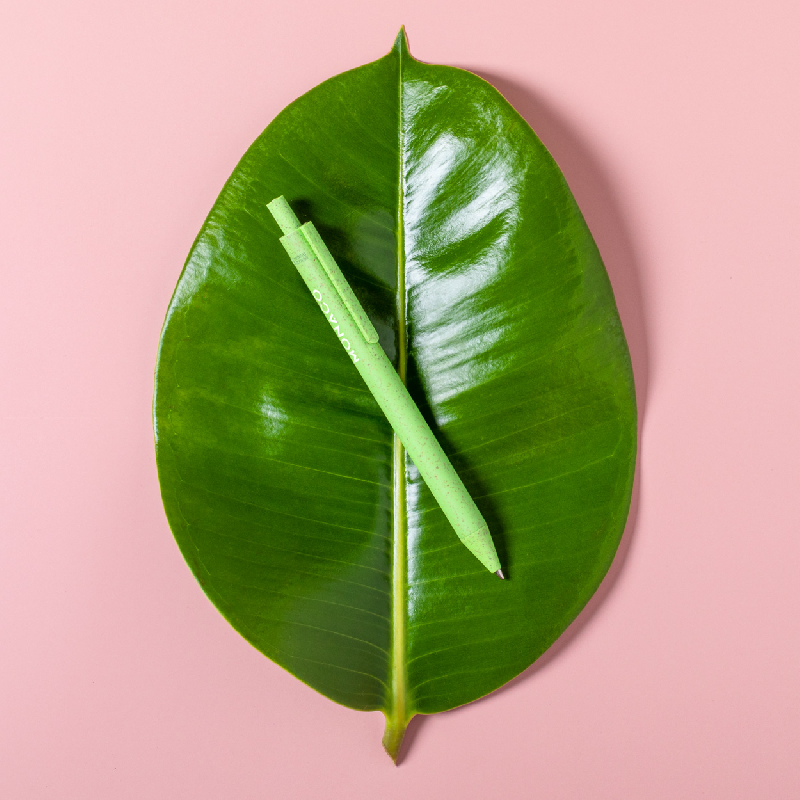 Stylo à bille écologique - plastique paille de blé - encre bleue - couleur verte_4