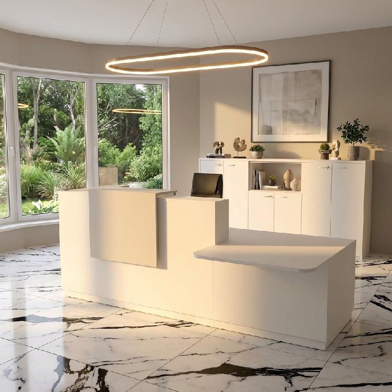Banque d'accueil Design & Ergonomique : La solution idéale pour Cabinets Médicaux - 242, Blanc, Droite, Non, Gris aluminium_0