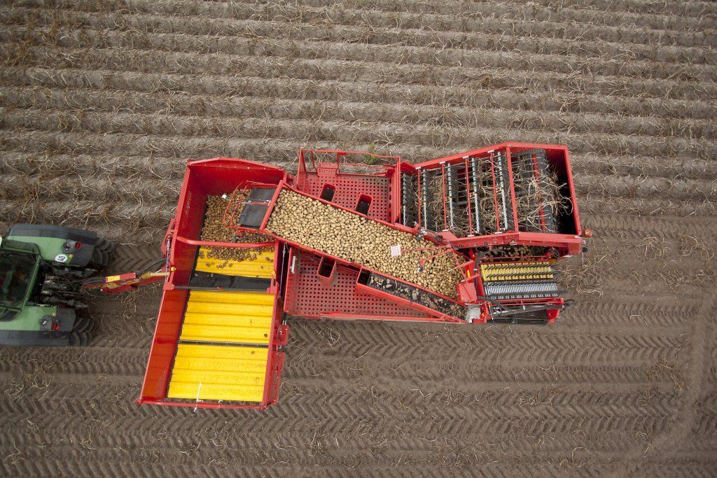 Arracheuse Grimme SE 260 avec régulation automatique Speedtronic