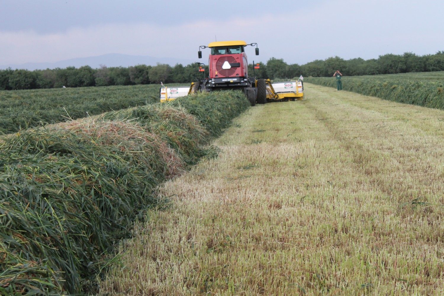 RT 840 - Andaineur à tapis ROC SRL - largeur de travail variable de 5,9 m à 8,35 m avec double balancier hydraulique_4