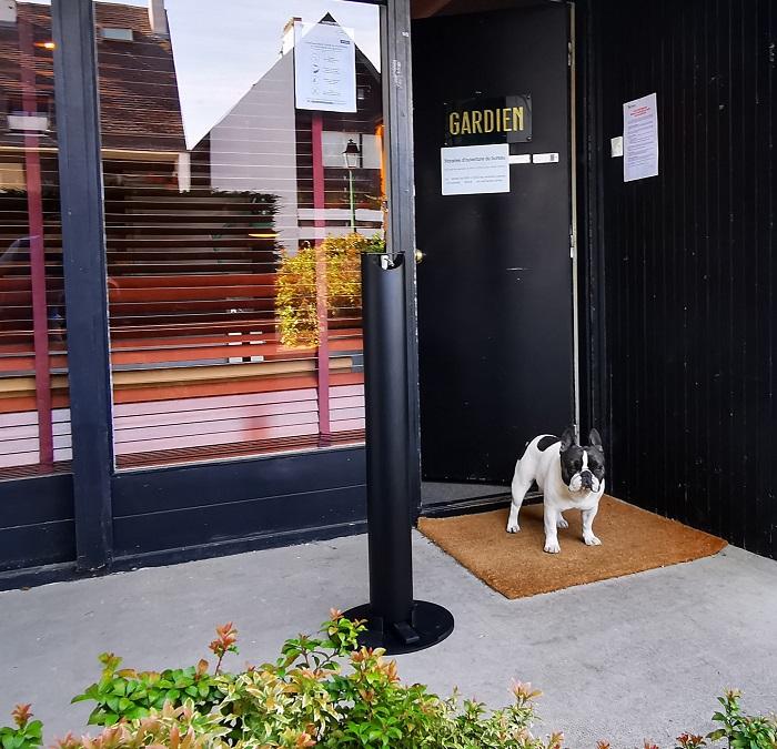 Distributeur pour gel hydroalcoolique ILONA 