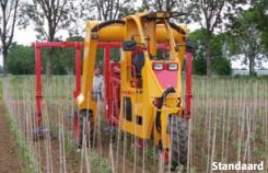 Tracteur enjambeur 3 roues - Damcon Multitrike - adapté aux cultures en lignes étroites_4