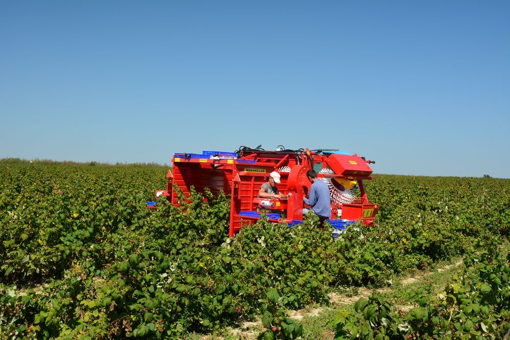 Machine agricole avec vitesse de travail de 0,5 à 1 km/h