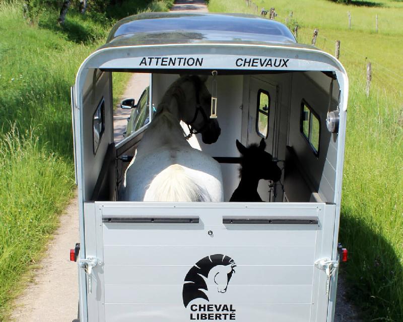 Remorque pour transport d'animaux - 1,5 places - cheval liberté touring one_4