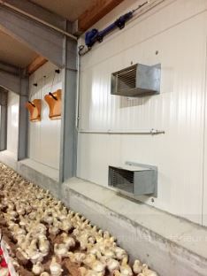 G Max - Générateur d'air chaud à gaz naturel ou GPL - 70 kW - Résistant à la corrosion_4