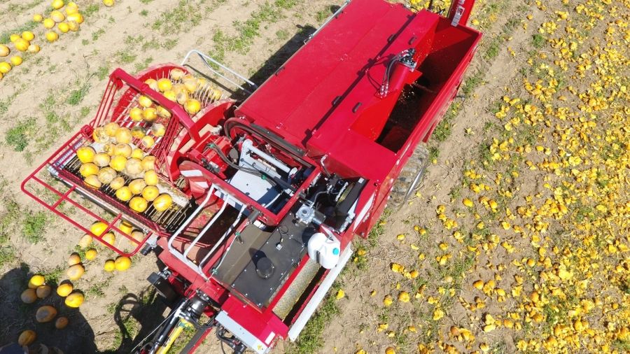 Récolteuse de pépins de citrouilles ke 3000 hydro s - moty gmbh - performance 1 à 1.5 ha/h - puissance 80 kw_4