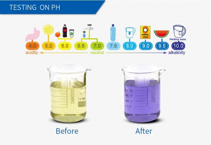 L-PF603 - Cartouches filtrantes d'eau alcaline - WellBlue - 300L - Compatible Brita_4