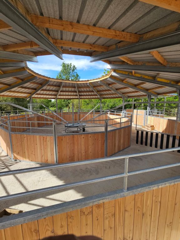 Marcheur pour chevaux_4