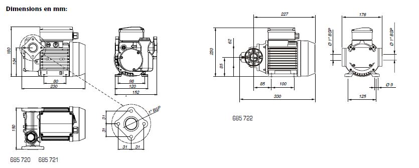 Pompe de transfert électrique pour gazole, Série POLARIS 230 V - Réf 685 720 - 685 722_4