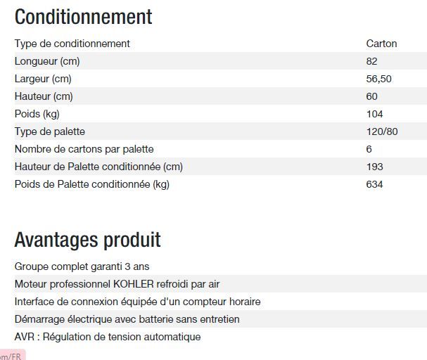 Technic 6500 E AVR - Groupe électrogène Kohler - Puissance max 6,30 kW - Fréquence 50 Hz - Tension nominale 230 V_4