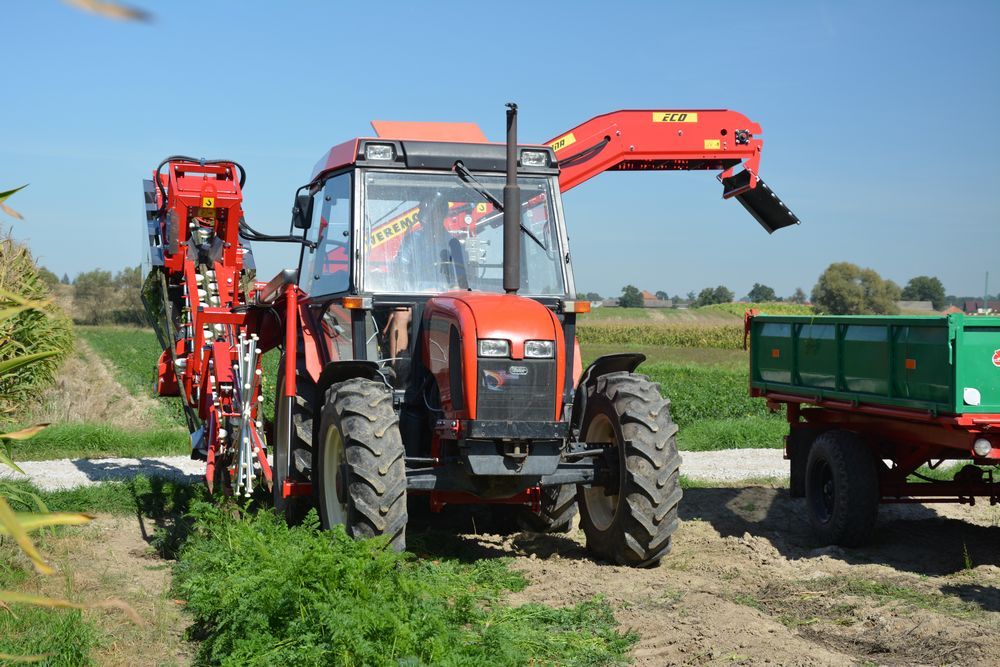 Récolteuse à carottes Alina Eco II - Weremczuk - 0,06 à 0,10 ha/h - 75 ch - légumes racines_4
