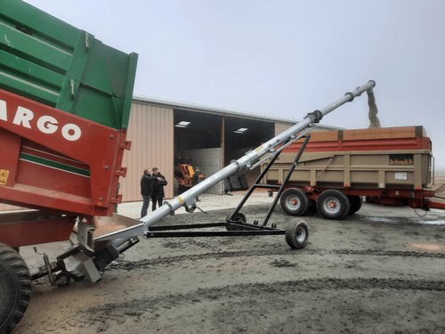 Vis à grains sur chariot à entrainement électrique à double spire Ø 160 mm - Trémie 2,50 m de largeur_4