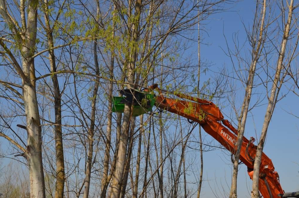 Grappin coupeur forestier bi400 - omef-group srl - prise min du tronc 120 mm - ouverture de coupe 380 et 400 mm_4