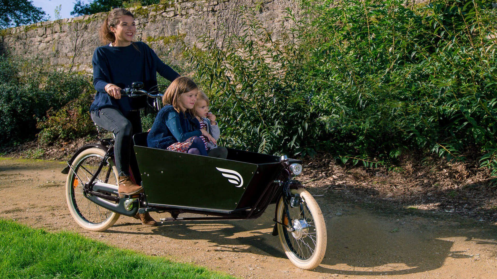 Biporteur électrique AMSTERDAM AIR - Transport jusqu'à 100 kg - Assistance électrique - 7 vitesses_4