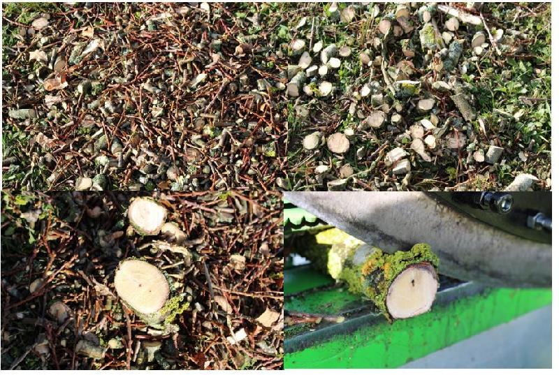 Broyeur de végétaux manuel - Fabrication française - Lame 300 mm en acier spécial - Réglable et pliable_4