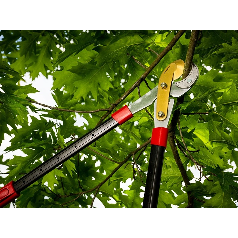 Coupe-branches à enclume télescopique p80-t 68-93 cm – MTF – 40 mm – 1zst4180_4