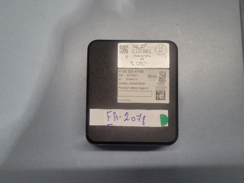 Poids d'étalonnage ZWIEBEL 100g classe E2 INOX_4