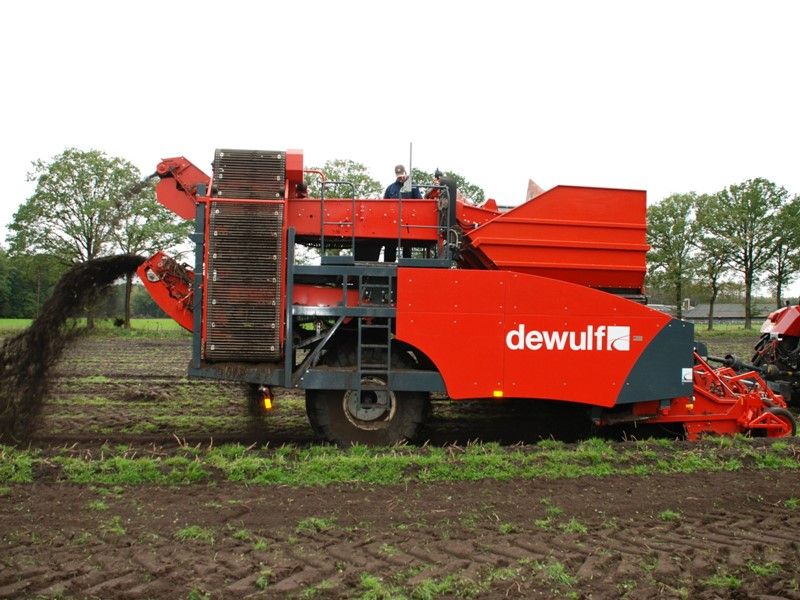 Arracheuse par tamissage r2060 - dewulf bv - capacité du trémie 7 t_4