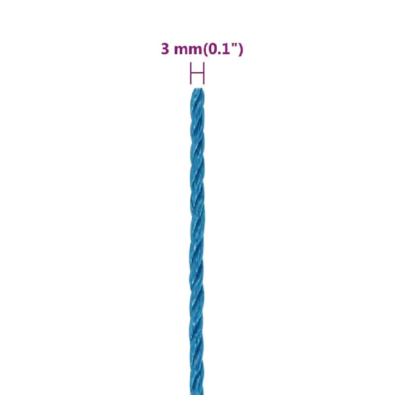 Vidaxl corde de travail bleu 3 mm 250 m polypropylène 152960_4