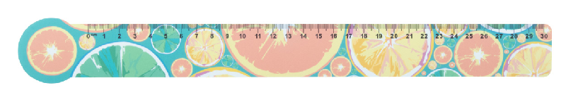 Règle publicitaire flexible 30 cm - personnalisable en quadri - forme de maison_4