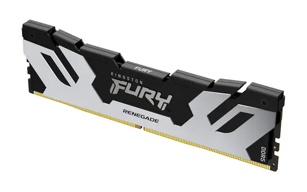 48 Go 8000 MT/s DDR5 CL38 DIMM (Kit de 2) FURY Renegade Silver_4