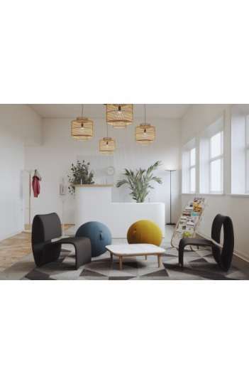 Ballon ergonomique pour bureau - prévention TMS - poignée intégrée - diamètre 65 cm_4