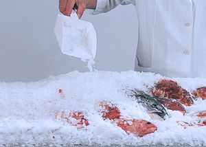 Production de glace écailles avec rendement optimisé au CO2