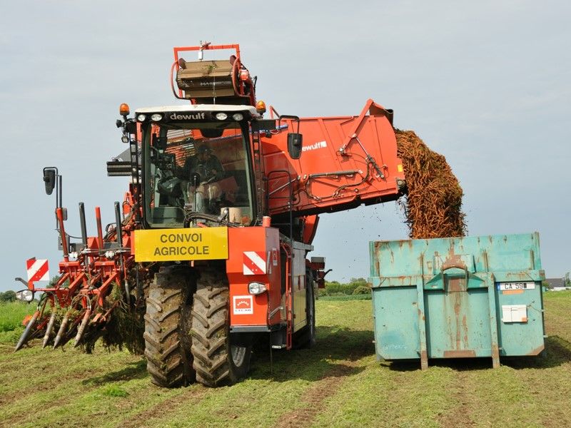 Arracheuse par préhension ZBII - Dewulf BV - trémie 9 m³ - largeur 3500 mm - 2 rangs_4