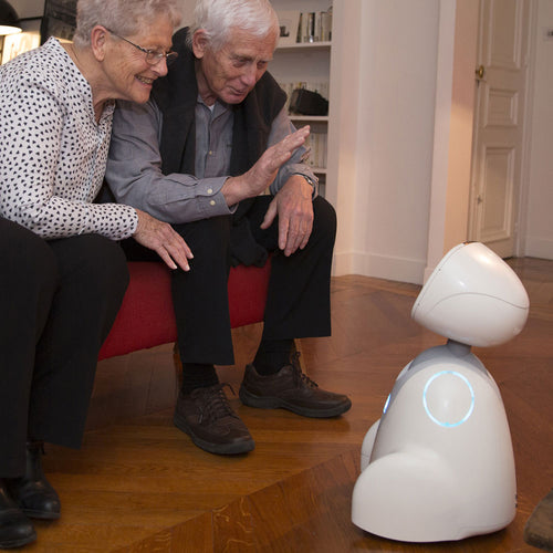 Robot émotionnel Blue Frog Robotics Buddy - 12 émotions différentes - Version Pro pour développeurs_4