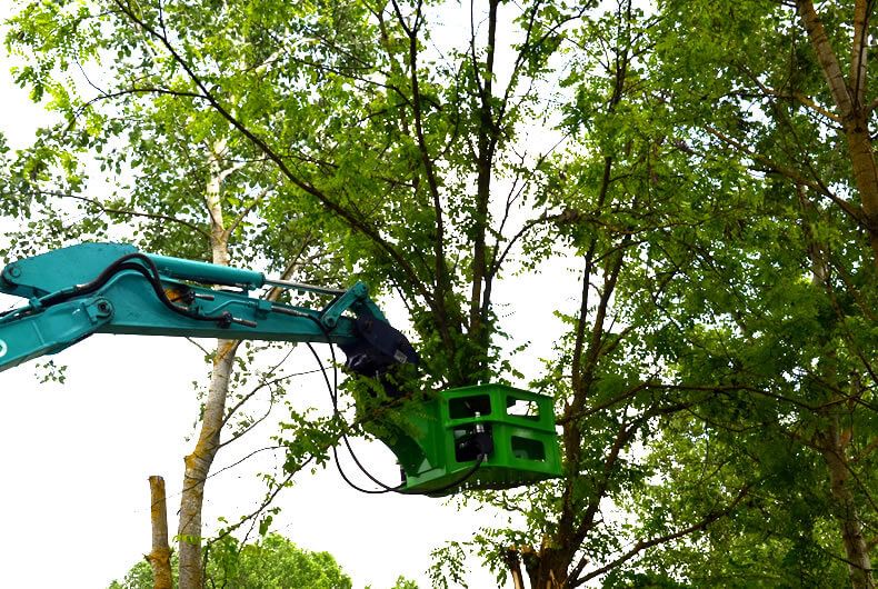 Grappin coupeur forestier BI200 - OMEF-Group SRL - prise min tronc 50 mm - ouverture de coupe 170-200 mm - acier STRENX 700MC PLUS_4