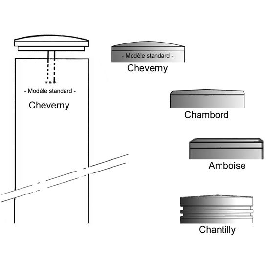 Potelet ou borne inox à sceller ou amovible - tête démontable - hauteur hors sol 900 mm - norme TRAT1225621A_4