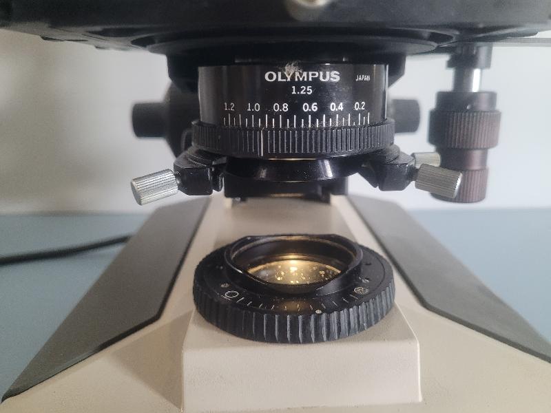 Microscope Olympus BH2_4