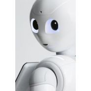 Robot humanoïde - softbank robotics - dialogue disponibles dans 15 langues_4