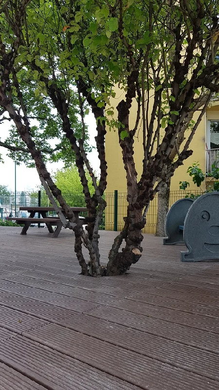 Planches antidérapantes en plastique recyclé_4