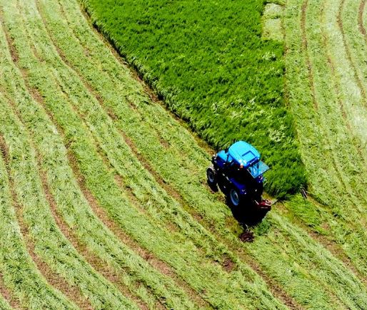 Machine de tonte avec hauteur de coupe réglable et faible entretien