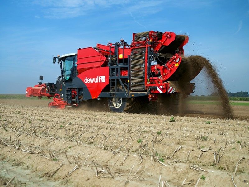 Arracheuse par tamissage R3060 - Dewulf BV - moteur Scania 350 ch - largeur 3500 mm - cabine spacieuse Claas_4