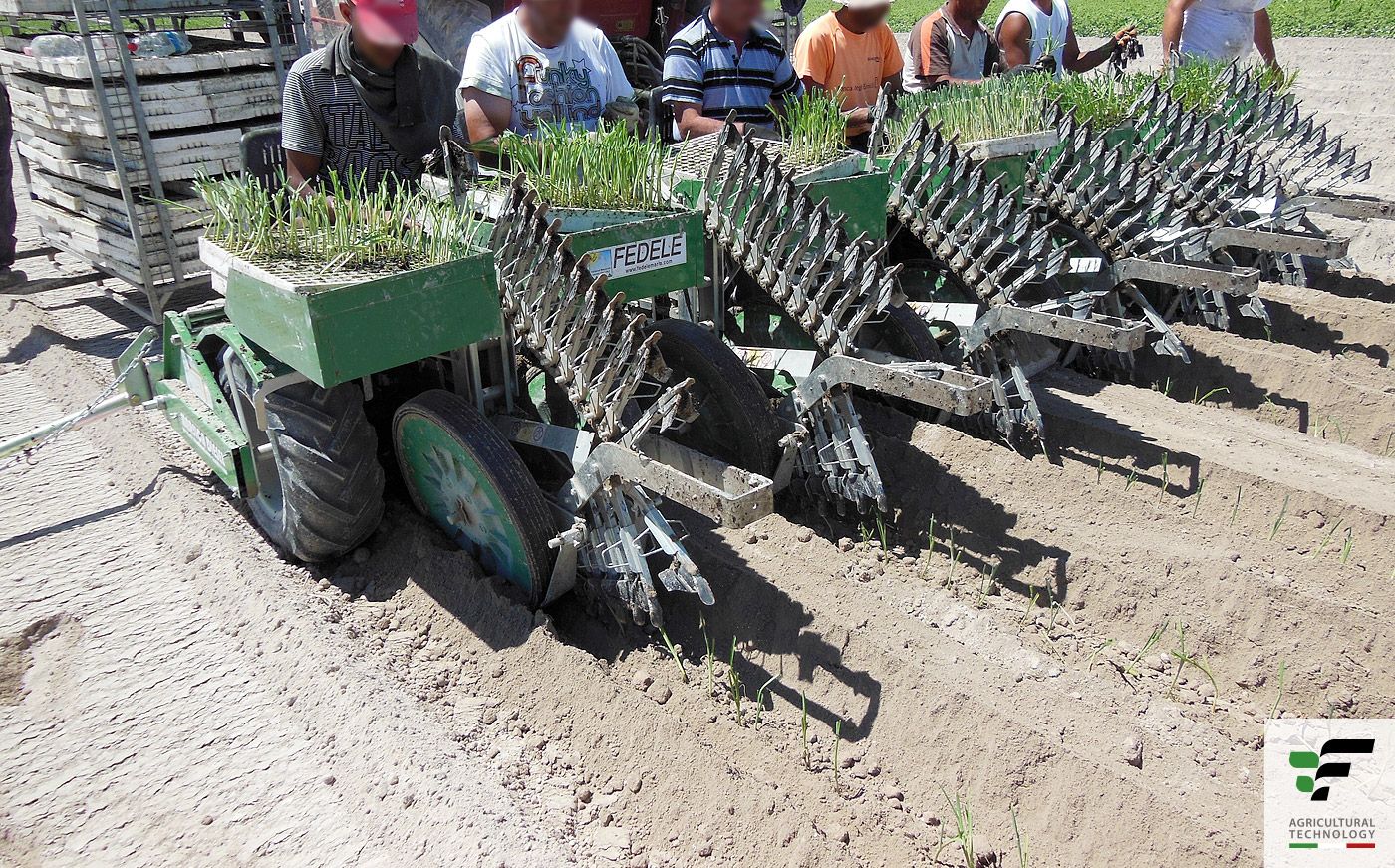 Planteuse Big - Fedelemario - Distance inter-plants réglable de 16 à 32 cm - Pour poireaux et oignons_4