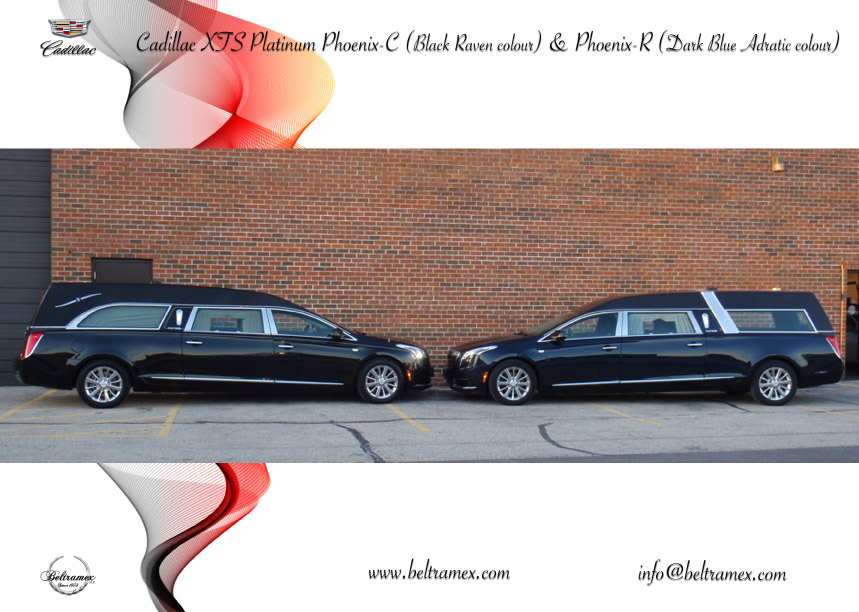 Cadillac XTS Platinum Phoenix-C pour transport cérémonial