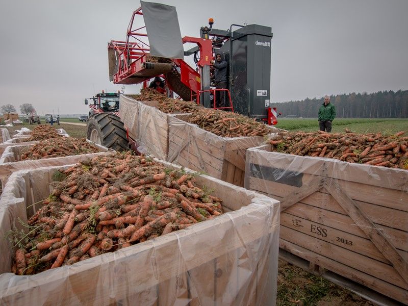 Arracheuse agricole avec amortisseurs de chute pour pallox