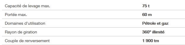 MTC 1900 - grue portuaire offshore Liebherr - capacité de levage max 75t - portée max 60m_4