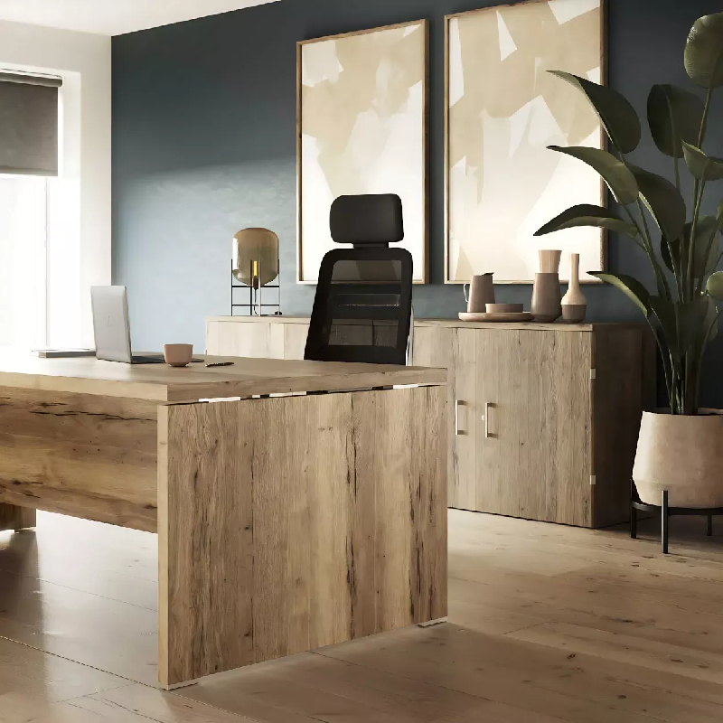 Bureau de Direction So Laroya_4