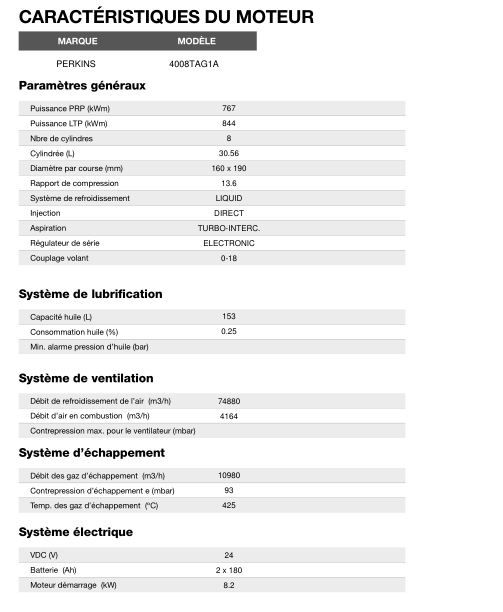 AP-1005 50 Hz - Groupe électrogène en container triphasé 999,1 kVA - Moteur Perkins et alternateur Stamford_4