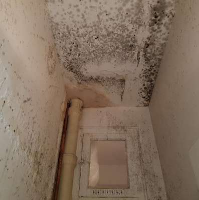 Location déshumidificateur d'air après sinistre pour sécher les murs_4