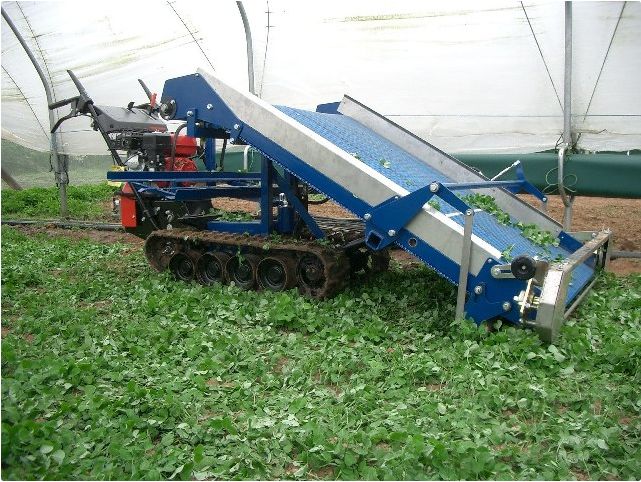 Récolteuse automotrice - sweere / sweere food processing b.V_4