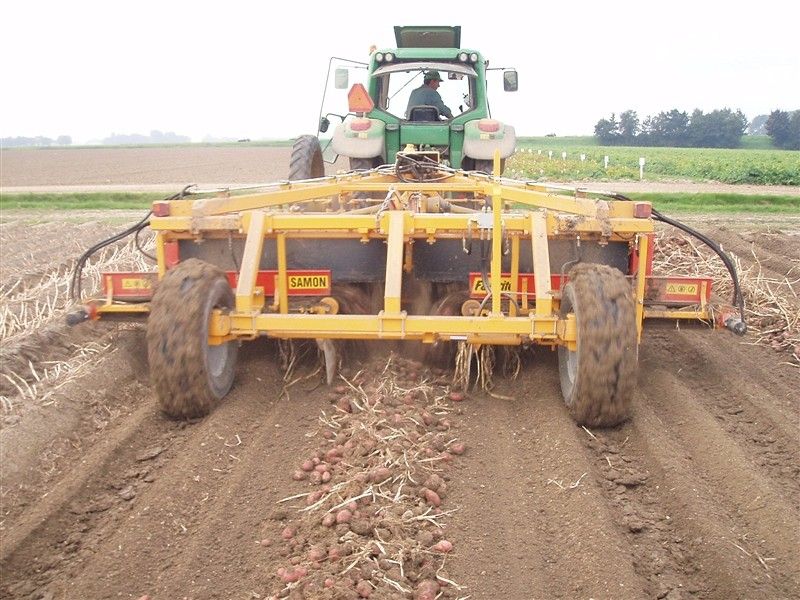 Machine agricole pour arrachage efficace de pommes de terre
