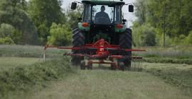 Machine d'andainage pour fourrage dense