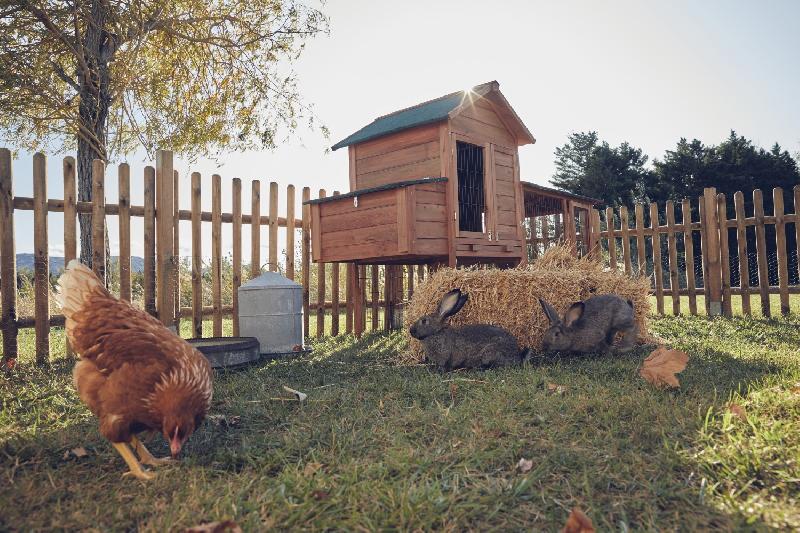 Barrière en bois Buffalo - H.100 x L.180 cm - traitement autoclave - garantie 3 ans_4