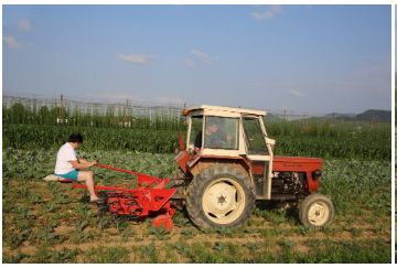 Bineuse agricole avec dispositif de distributeur d'engrais - Tehnos - largeur entre les rangs 60-75 cm_4