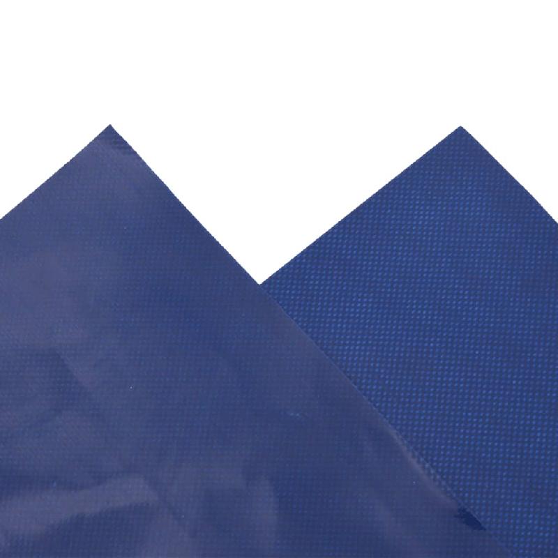 Vidaxl bâche bleu 1x2,5 m 650 g/m² 156172_4