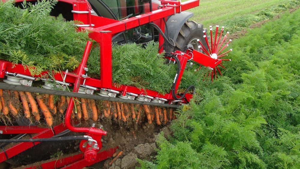 Récolteuse de légumes ALINA SUPERNOVA - Weremczuk - productivité 0,08-0,12 ha/h - puissance tracteur requise 80 CH - récolte précise à 98%_4